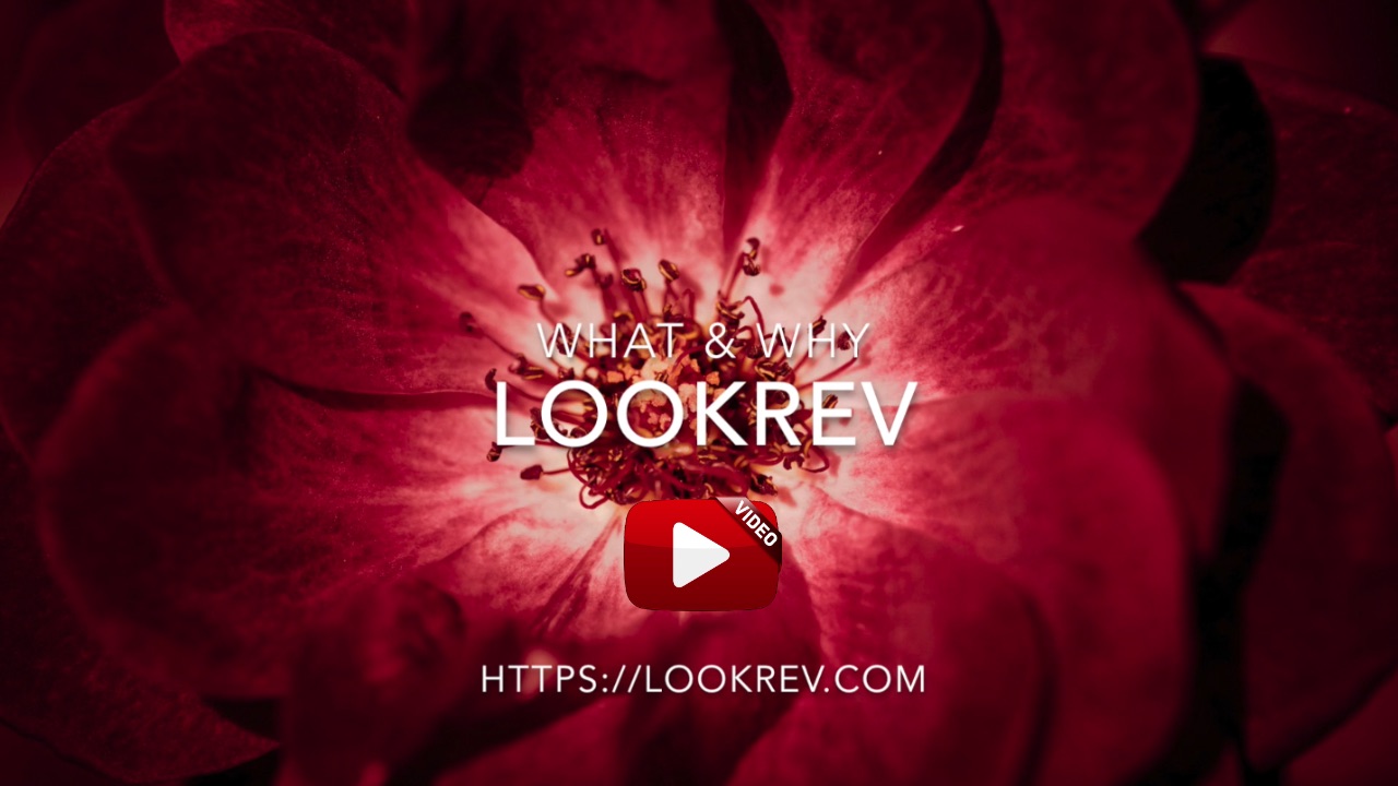 LookRev Intro